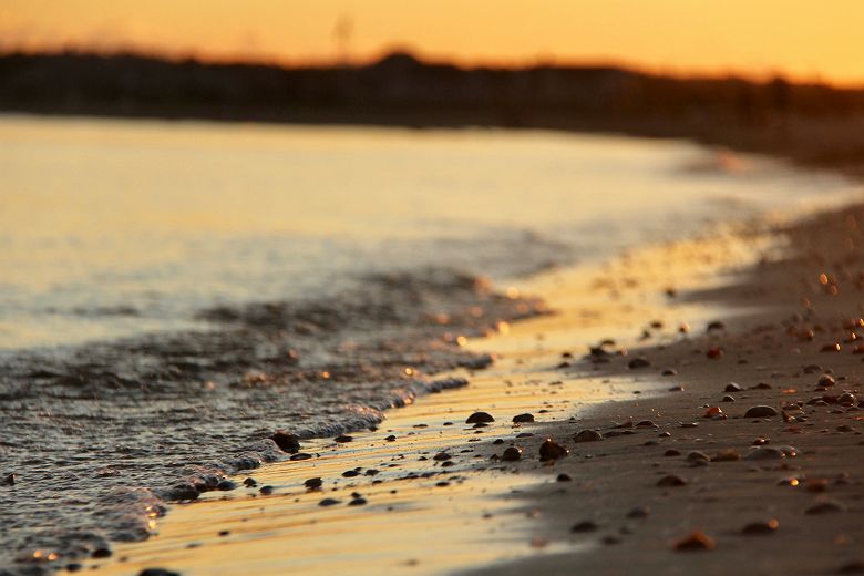 Cape Cod plage