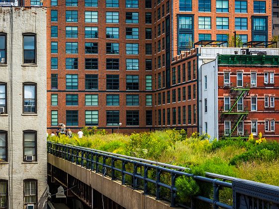 Etats-Unis - New York - Vue une partie du sentier du "High Line Park"