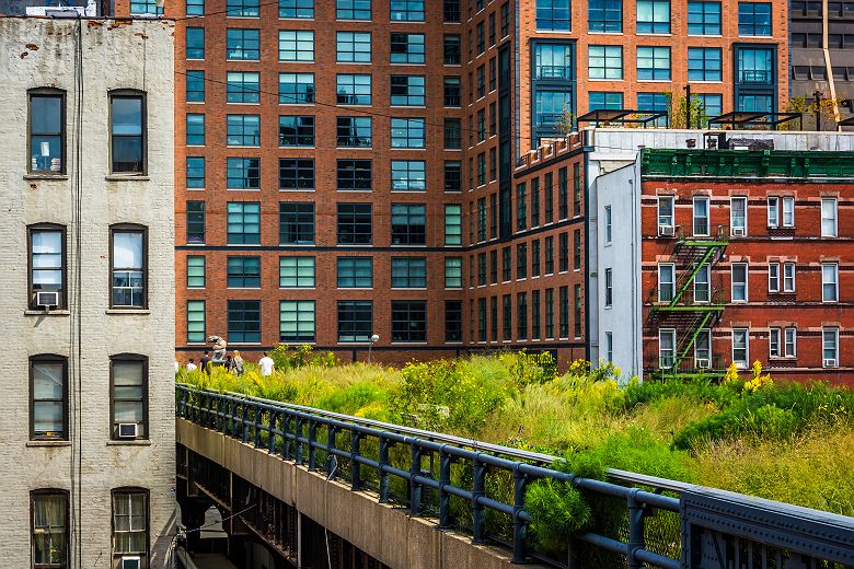 Etats-Unis - New York - Vue une partie du sentier du "High Line Park"