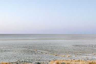 Baobab,Parc National du Makgadikgadi Pans, Botswana