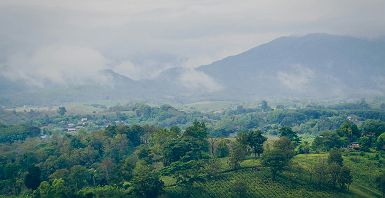 Paysages naturels à Chiang Rai