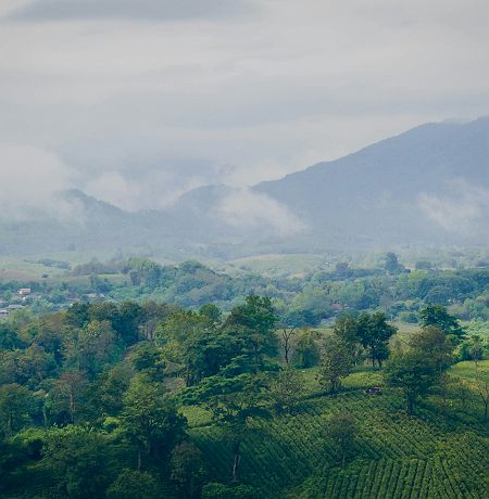 Paysages naturels à Chiang Rai