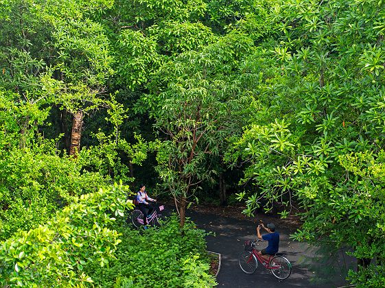 Vélo à Bang Kra Chao / Bang Kachao à Bangkok