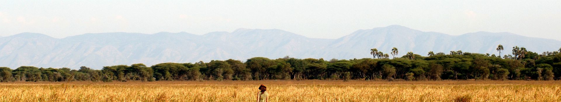 Paysage du parc national de Katavi - version panoramique