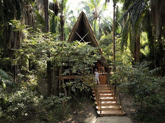 Greystoke Mahale - banda