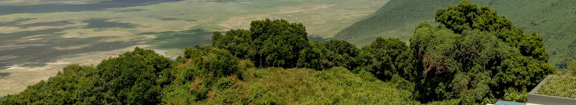 Ngorongoro Lodge member of Meliá Collection - vue aérienne sur la piscine et la caldeira