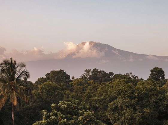 Elewana Arusha Coffee Lodge - vue sur les environs d'Arusha