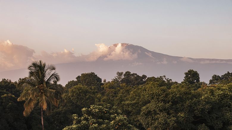 Elewana Arusha Coffee Lodge - vue sur les environs d'Arusha
