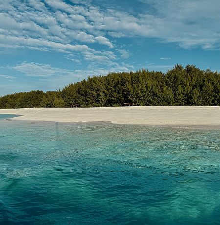 Vue sur Mnemba Island