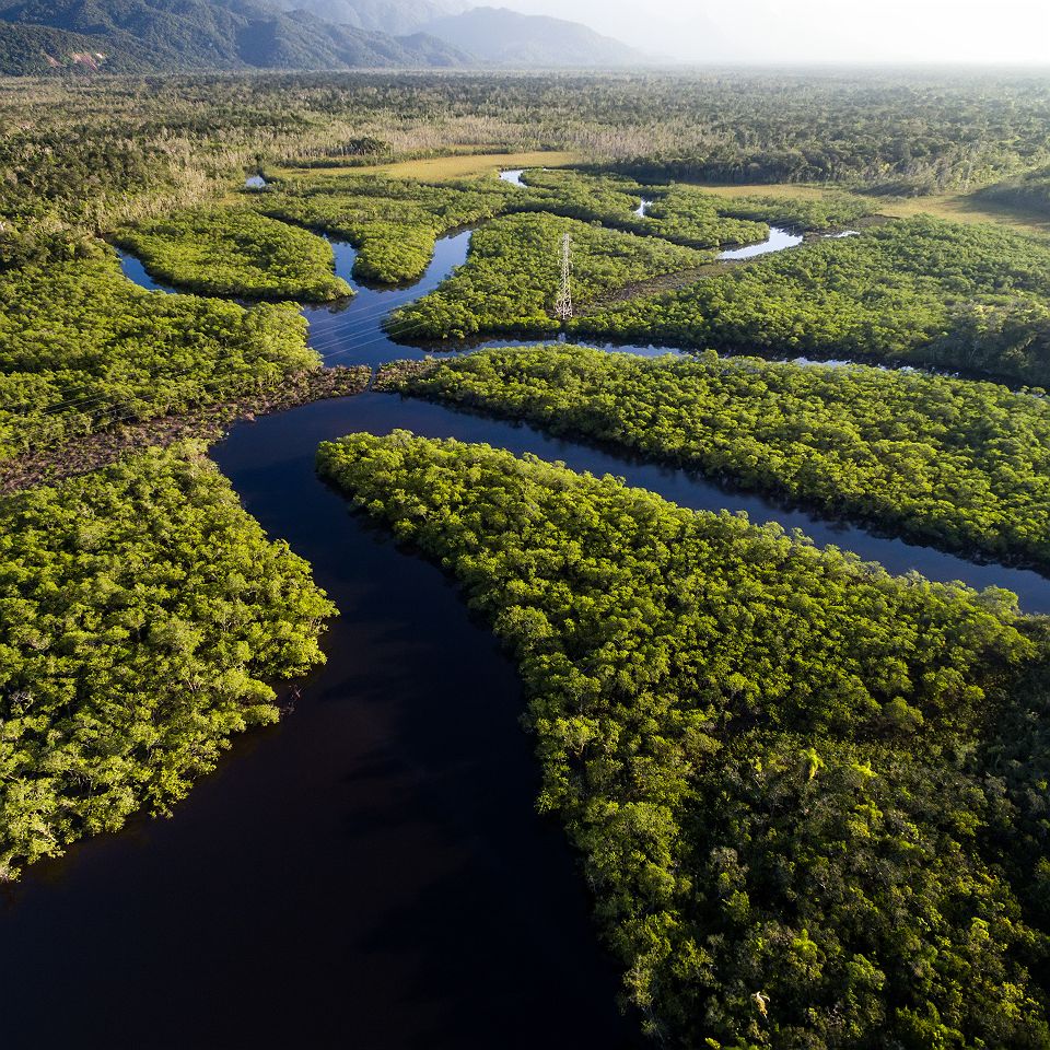 Brésil - Vue de la forêt tropicale