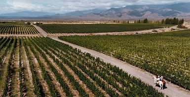 Casa de Uco - Mendoza - Argentine