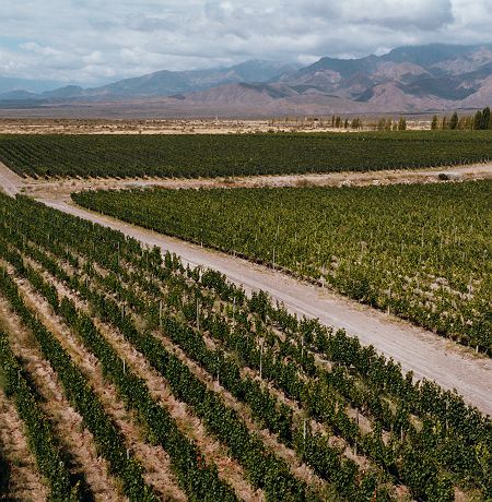 Casa de Uco - Mendoza - Argentine
