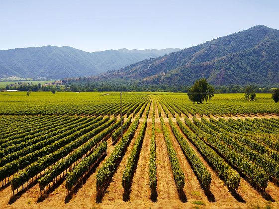 Région viticole d'Argentine - Argentine