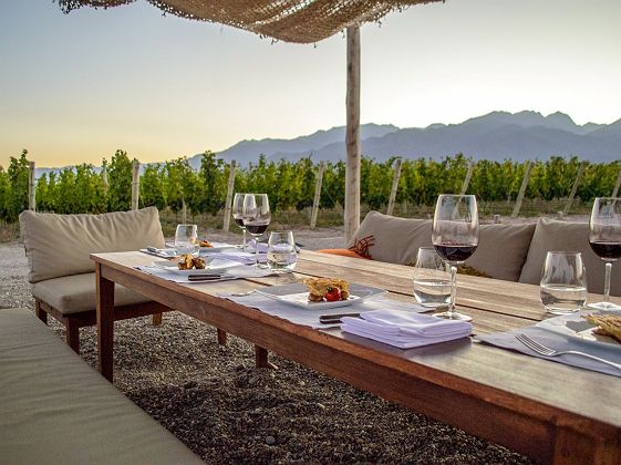 Wine experience à Casa de Uco - Mendoza - Argentine