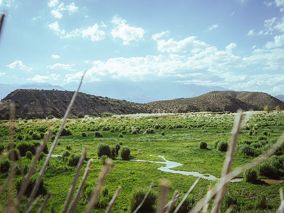 Upsallata - Mendoza - Argentine 