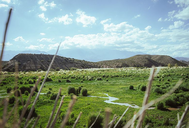 Upsallata - Mendoza - Argentine 