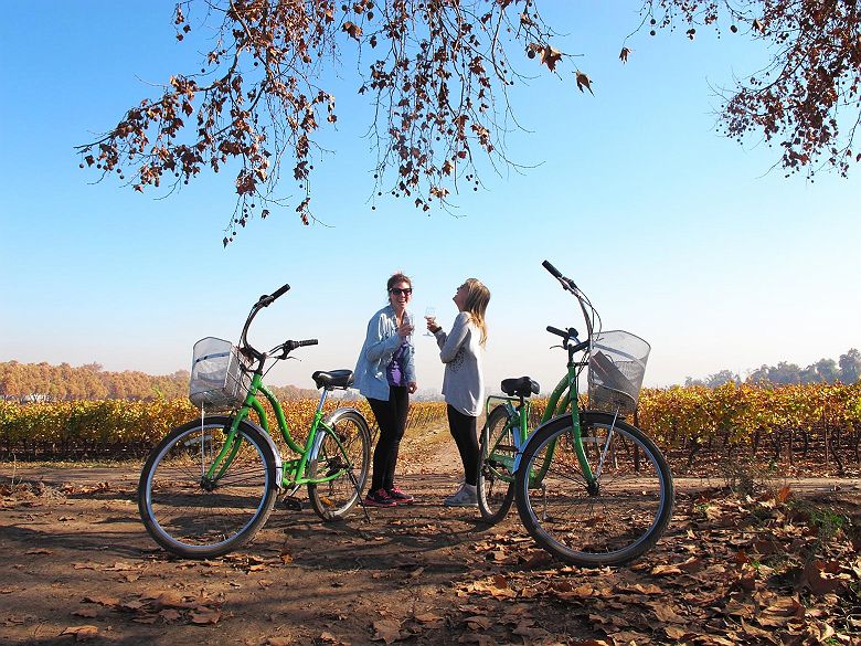 Balade en vélo au vignoble VIU Manent - Chili