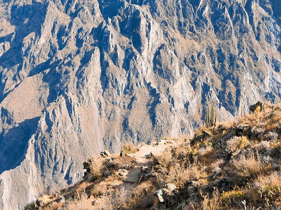 Canyon de Colca