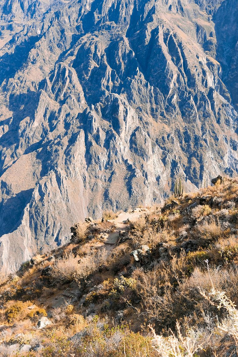 Canyon de Colca