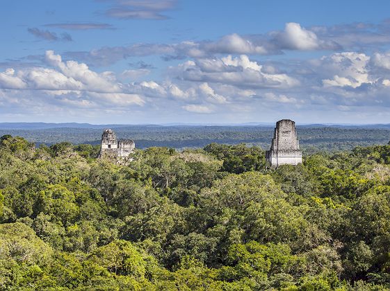 Temple sur le site de Tikal - Guatemala