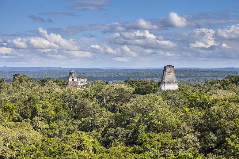 Temple sur le site de Tikal - Guatemala