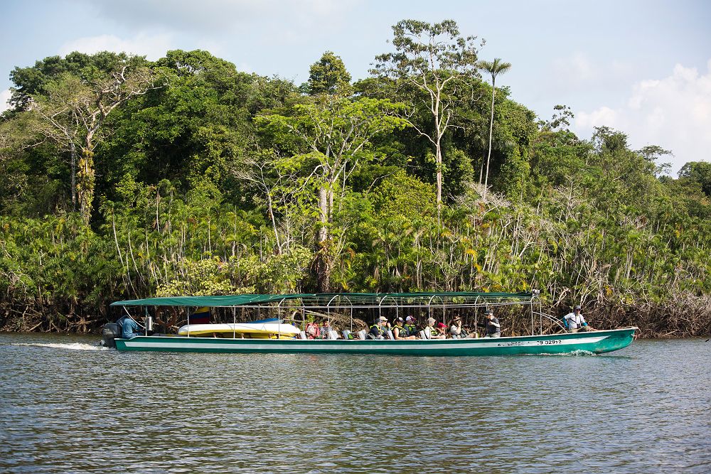 Périple Amazonien à bord du Manatee Amazon Explorer, Amazonie - Equateur 