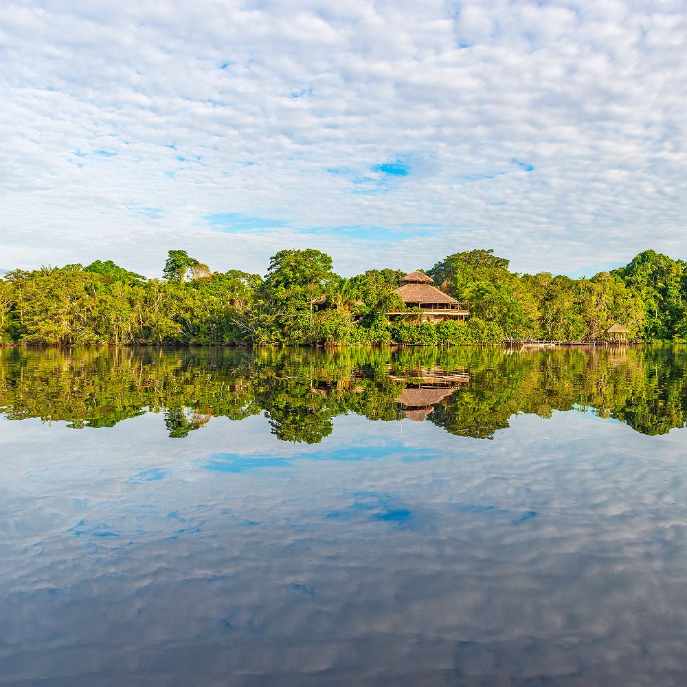 Périple Amazonien à bord du Manatee Amazon Explorer, Amazonie - Equateur 