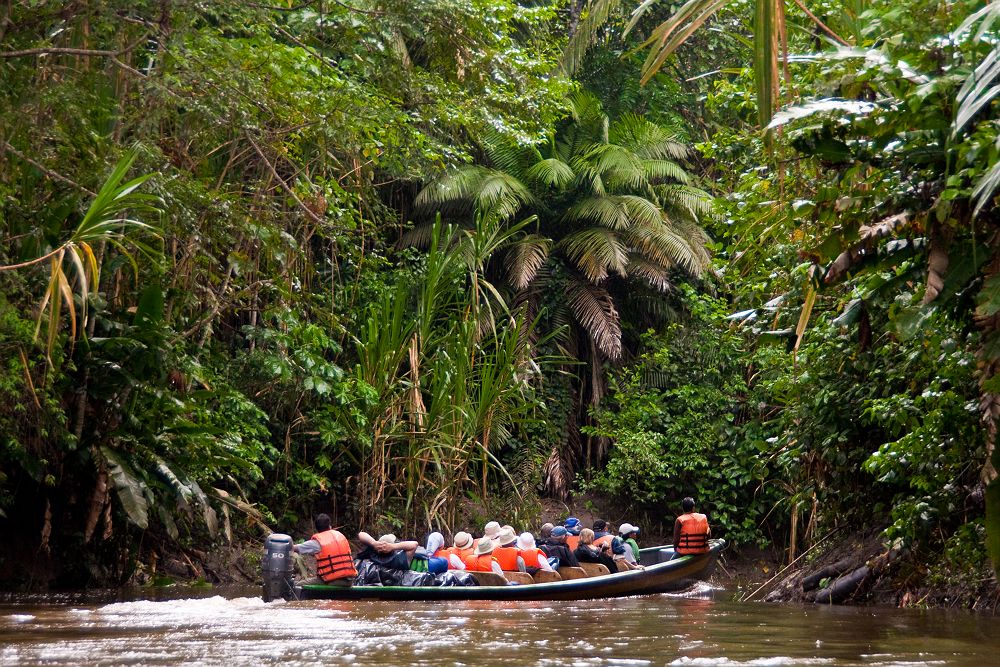 Périple Amazonien à bord du Manatee Amazon Explorer, Amazonie - Equateur 
