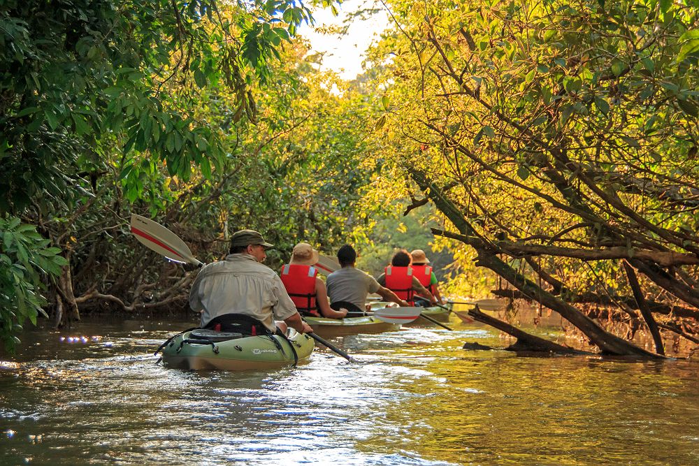 Périple Amazonien à bord du Manatee Amazon Explorer, Amazonie - Equateur 