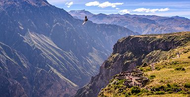 Condor dans le canyon de Colca, Pérou - Légende d'un gaucho à moto