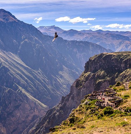 Condor dans le canyon de Colca, Pérou - Légende d'un gaucho à moto