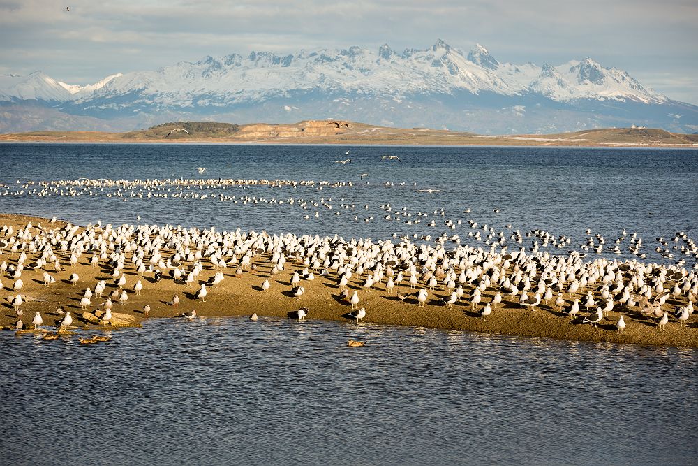 Ushuaïa - Argentine