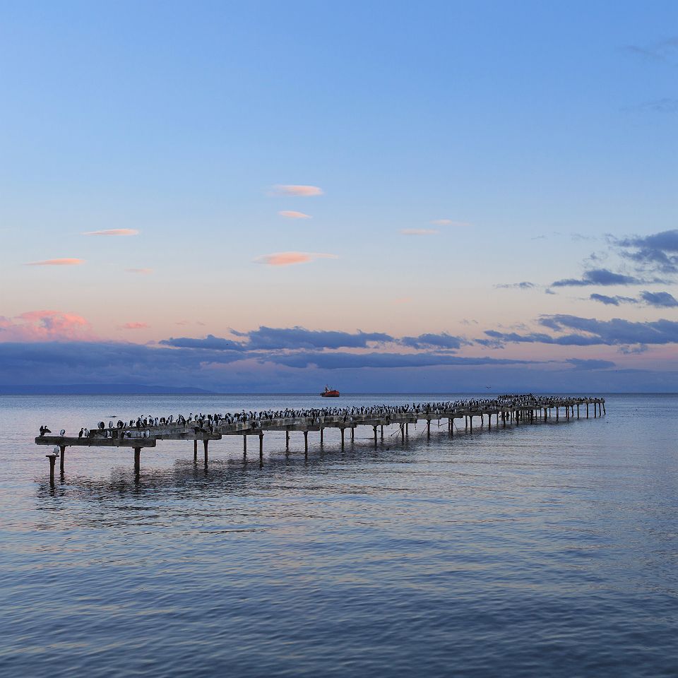 Punta Arenas - Chili