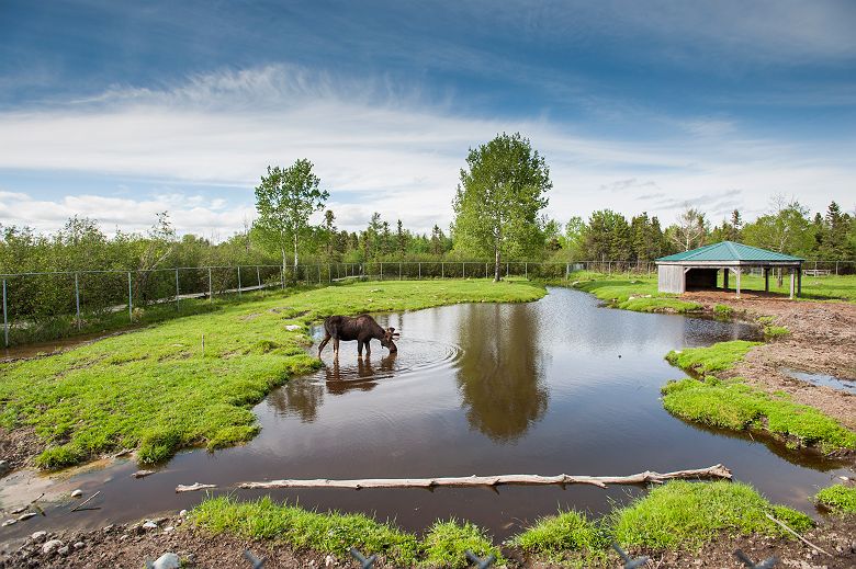 Hugo Lacroix_Tourisme Abitibi Temiscamingue_Refuge Pageau