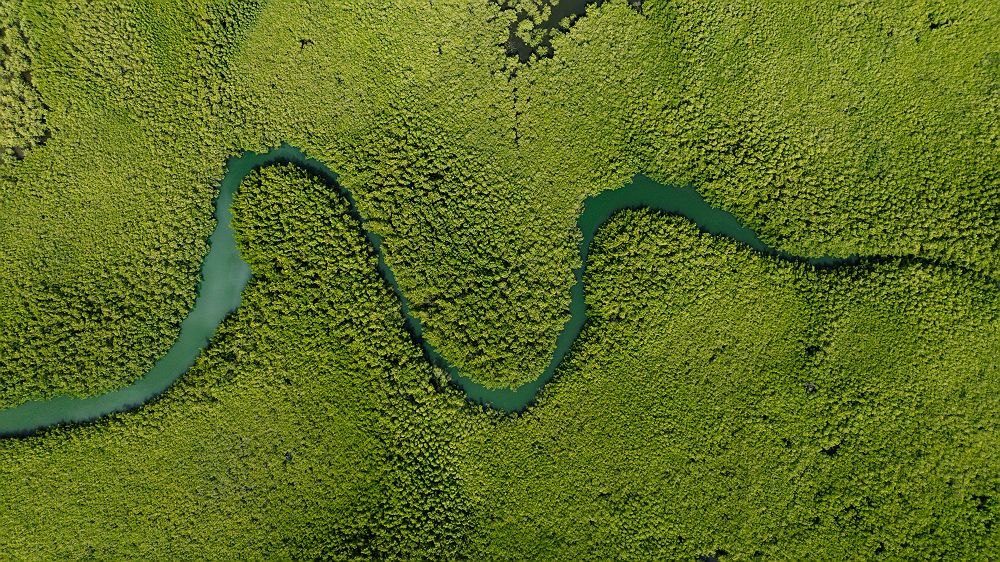 Paysage vue du ciel de Gambie