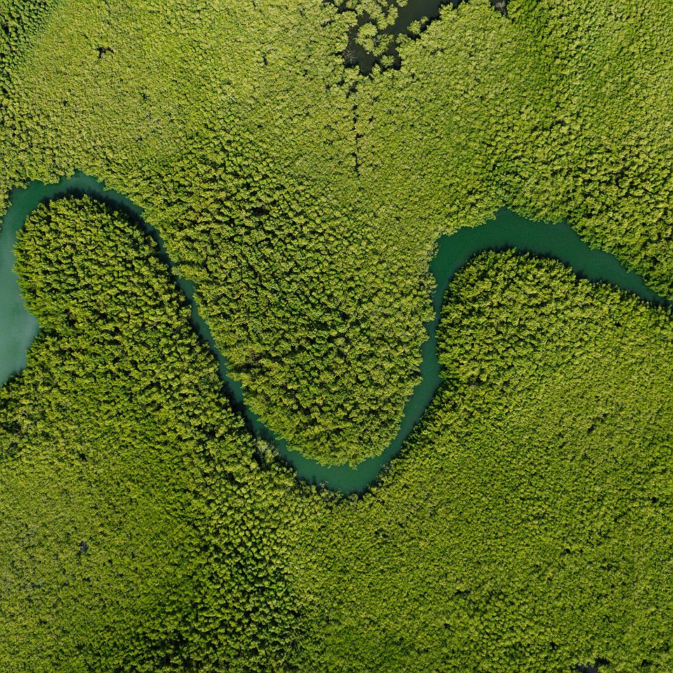 Paysage vue du ciel de Gambie
