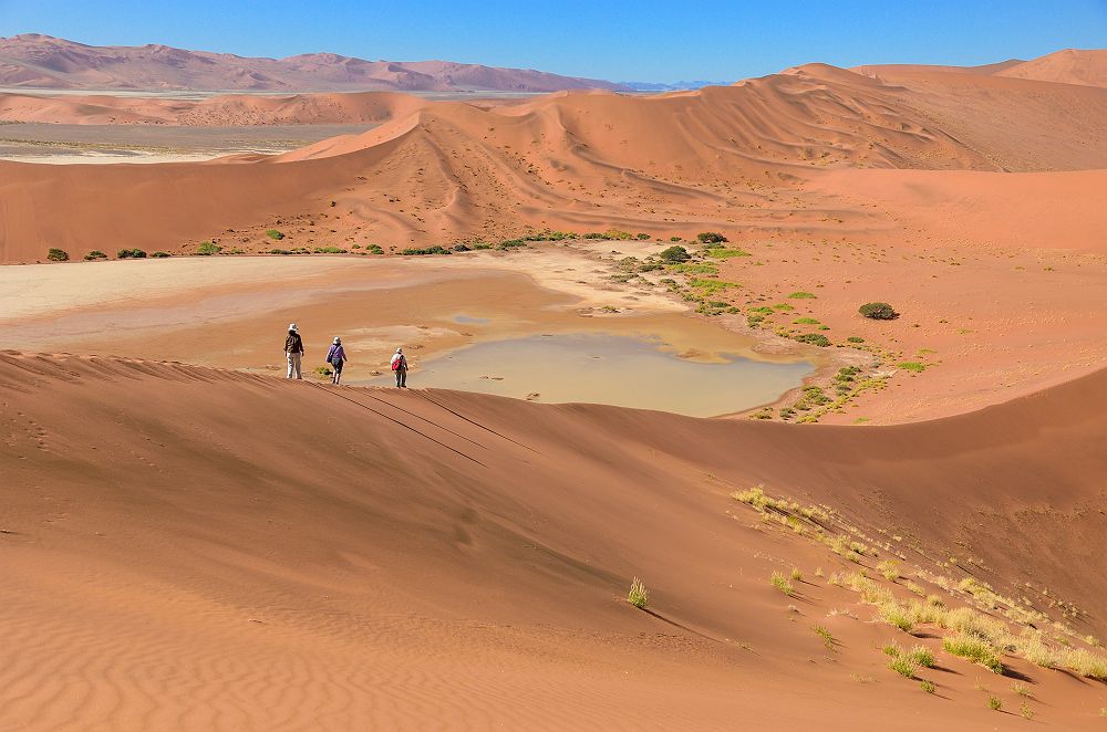 Personnes marchant dans les dunes du désert du Namib