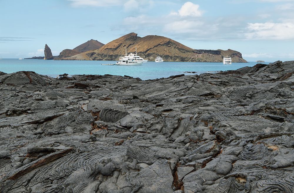 Iles Galapagos - Equateur