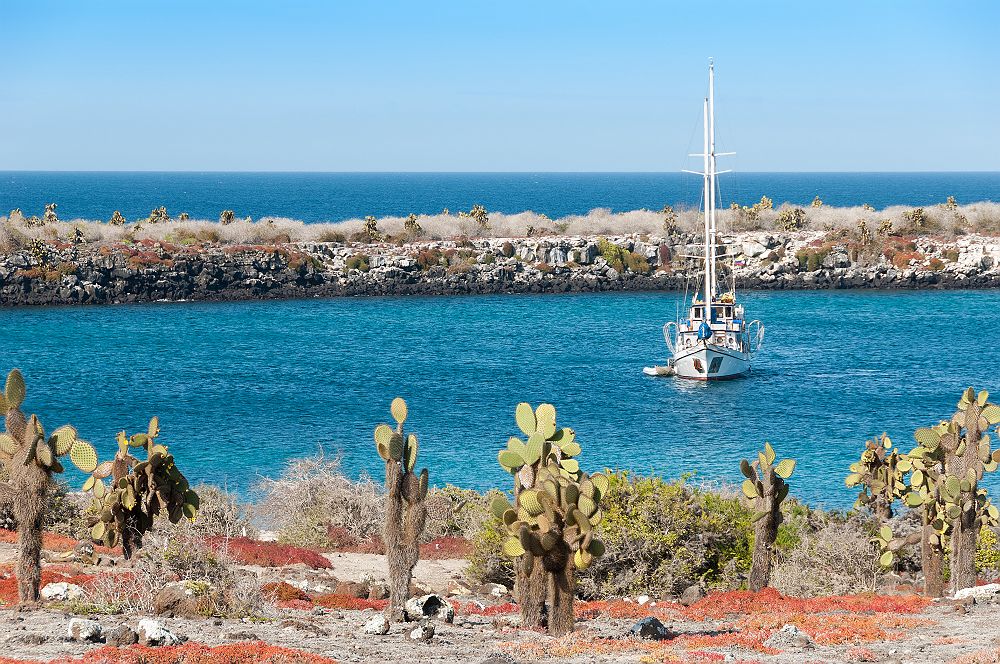 Iles Galapagos - Equateur