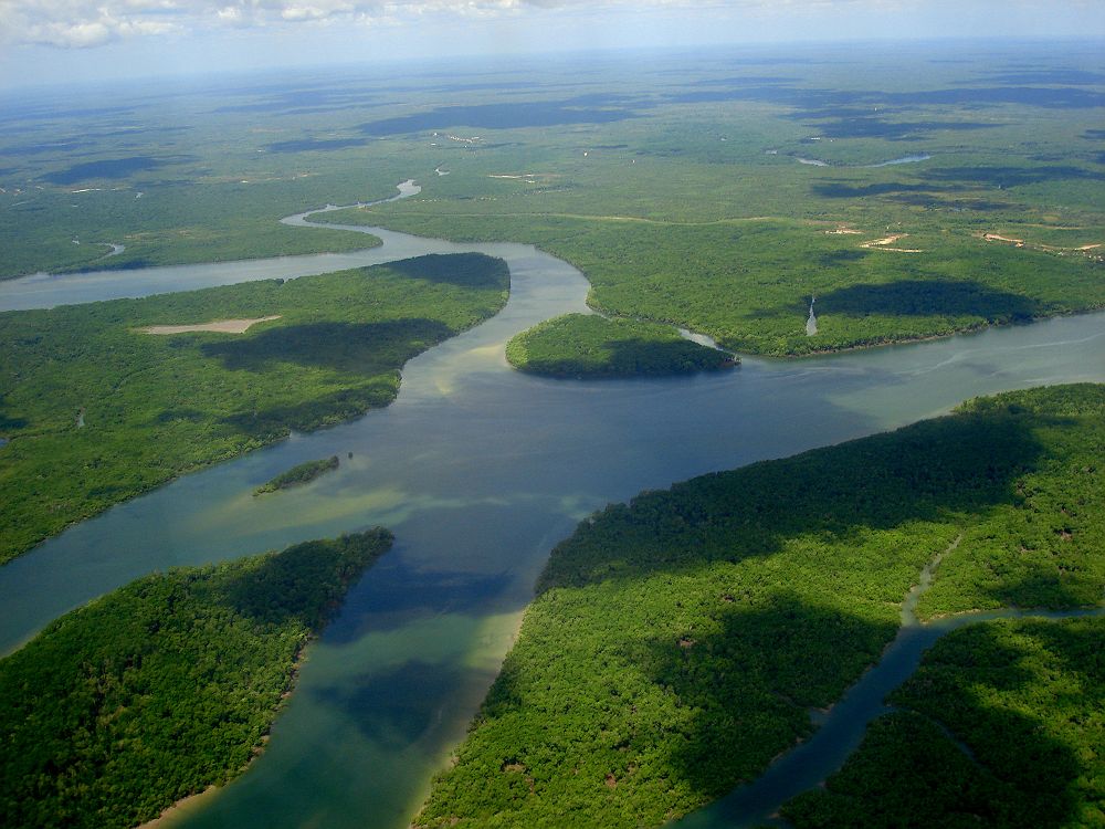 L'amazone, fleuve en Amazonie, Amérique du Sud