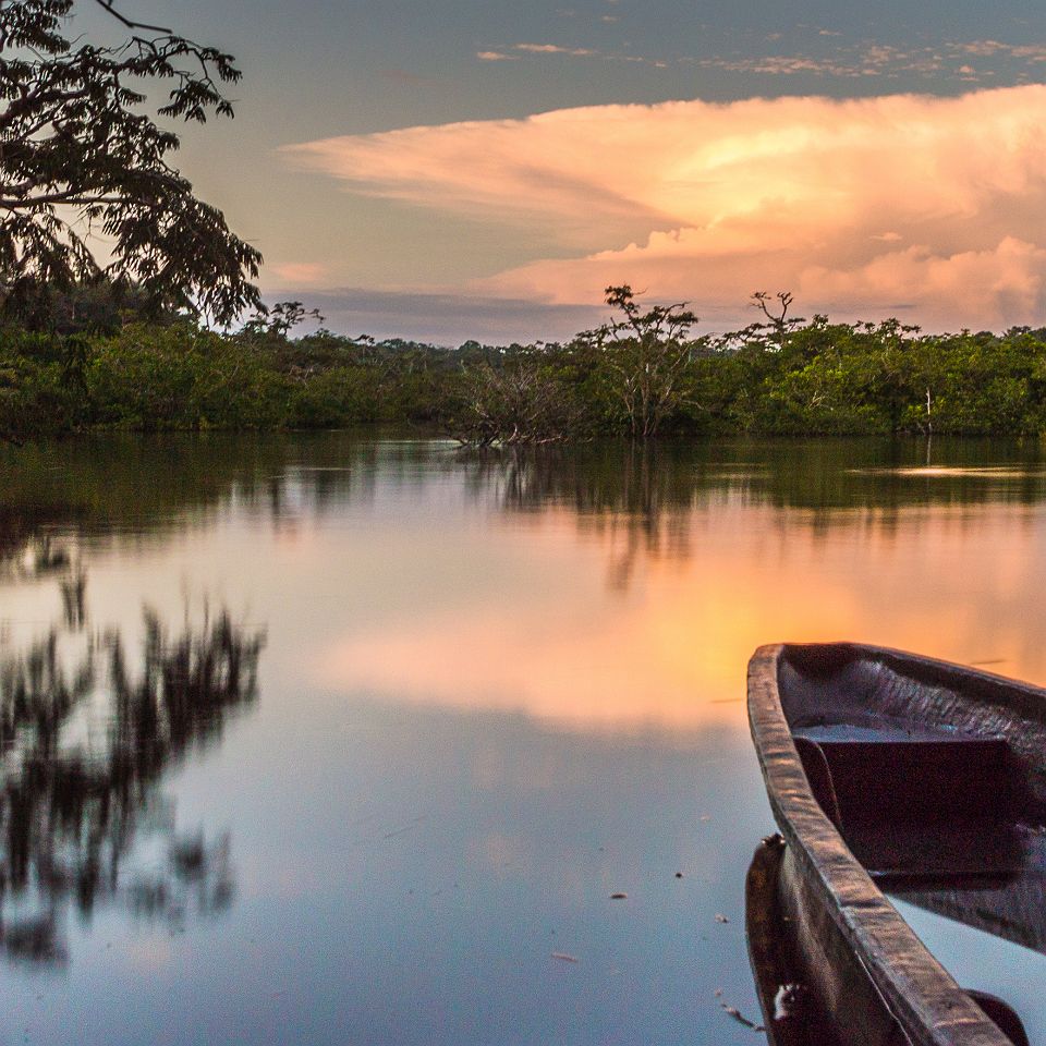 Beautiful landscape. Cuyabeno Wildlife Reserve, Ecuador. Canoe in the foreground.