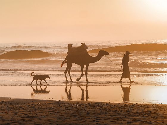 Plage de Mirleft au coucher du soleil - Maroc
