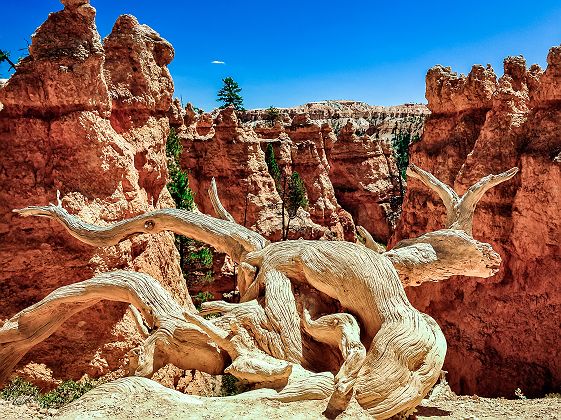 Parc national de Bryce Canyon, Etats Unis