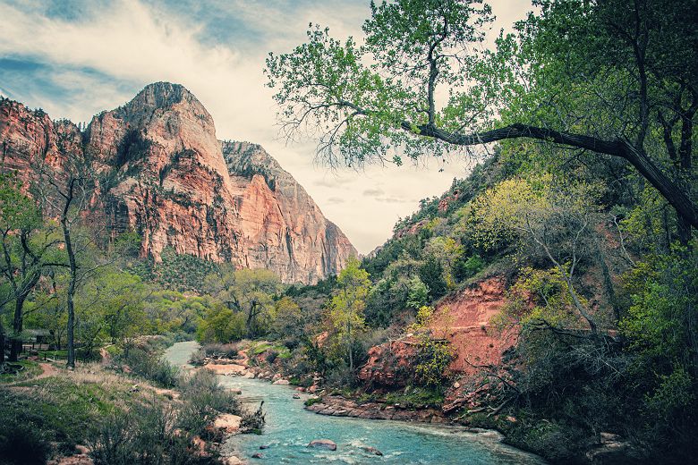 Rivière dans le parc national de Zion, Utah