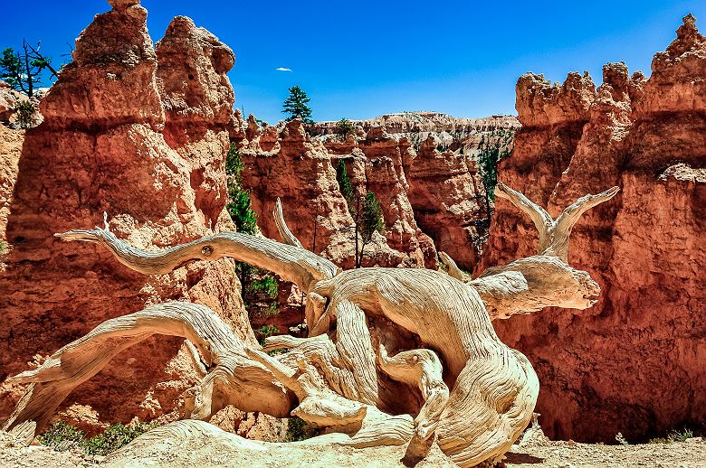 Parc national de Bryce Canyon, Etats Unis