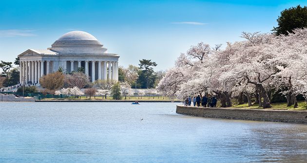 Etats-Unis - Vue sur le mémorial de Jefferson à Washington