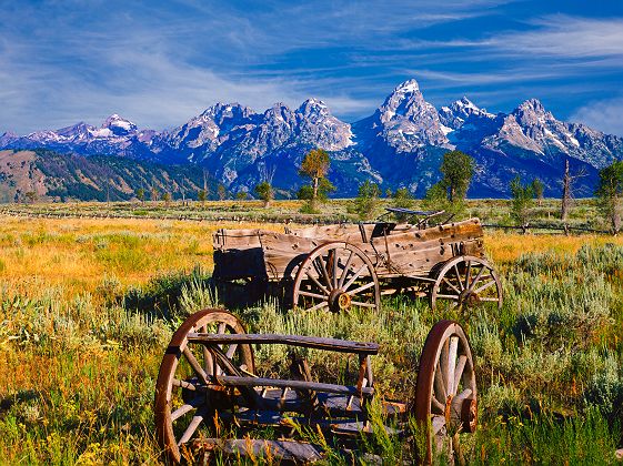 Wagon rustique dans le parc de Grand Teton - Etats-Unis