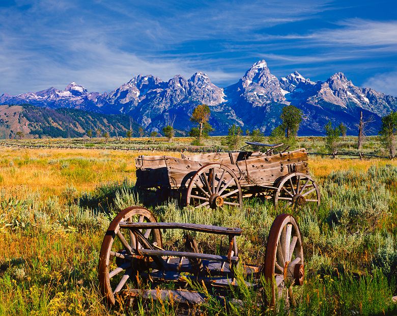 Wagon rustique dans le parc de Grand Teton - Etats-Unis