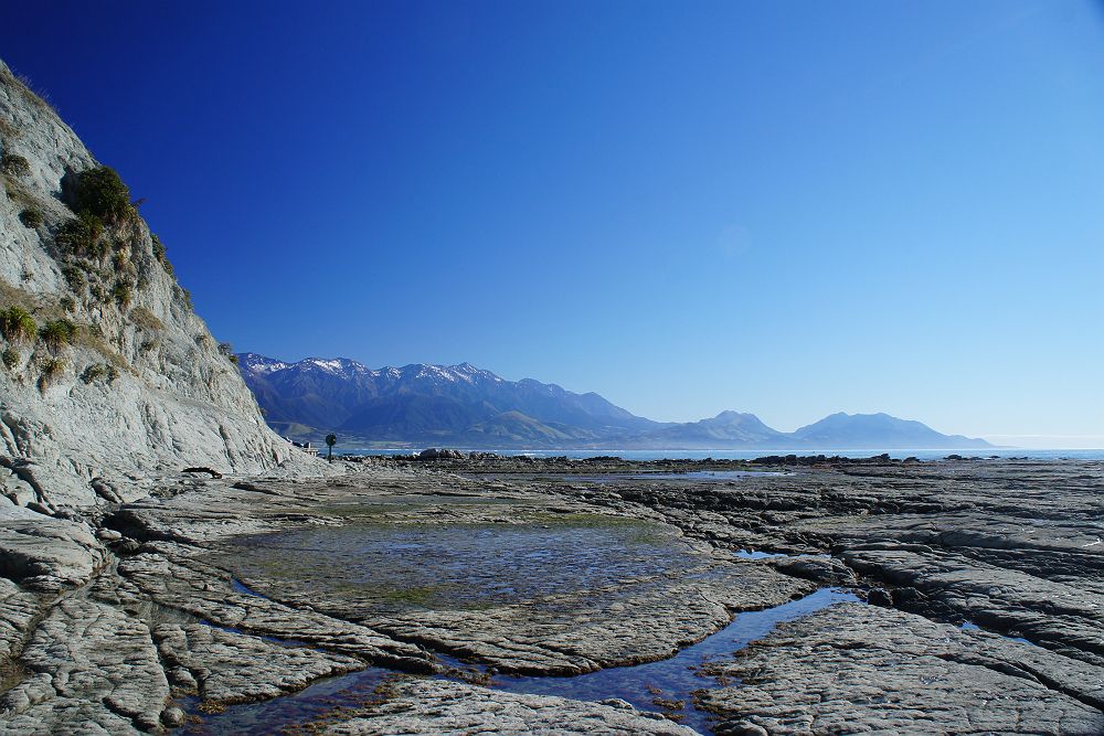 Côte de Kaikoura - Île du Sud de la Nouvelle-Zélande