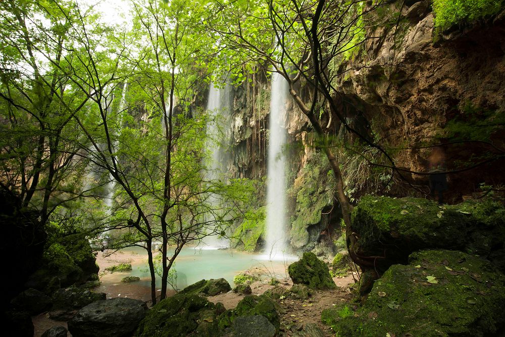 Salalah - Khareef (mousson)